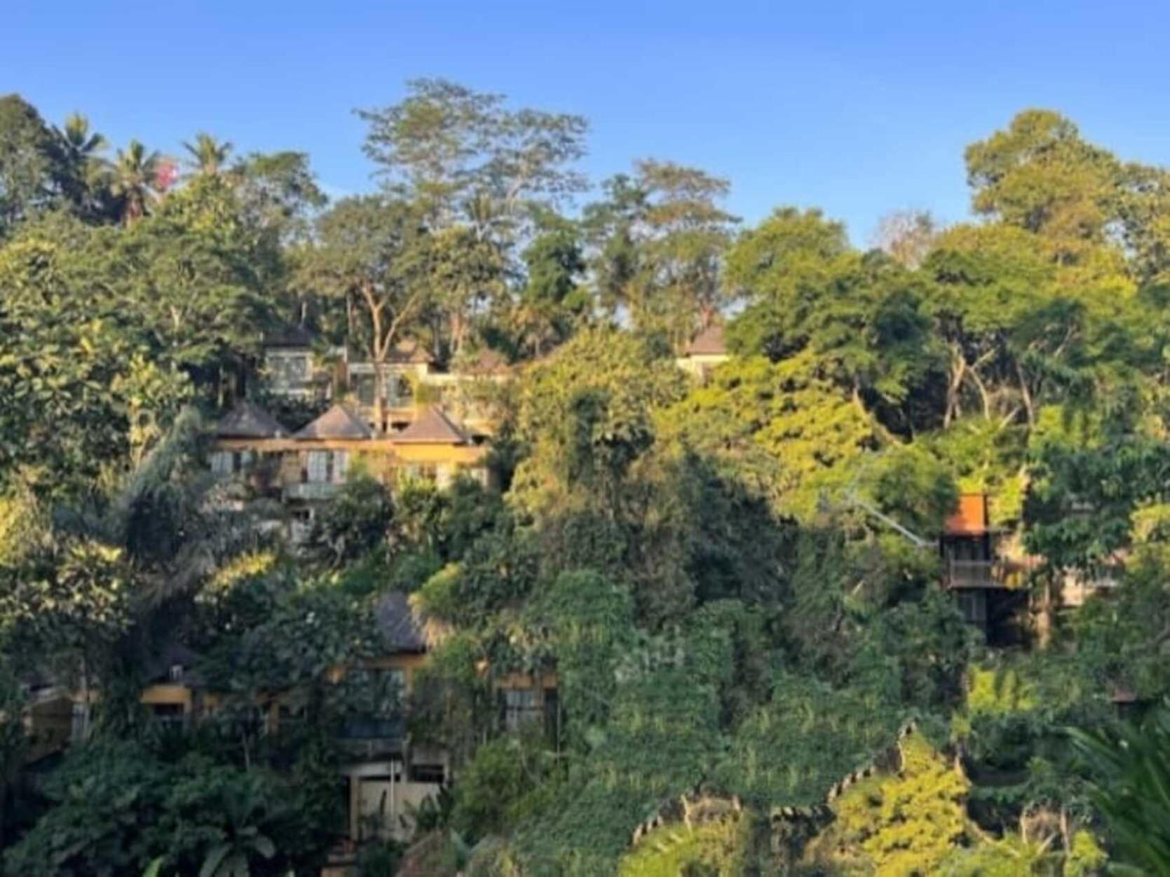 Pondok Kungkang Villa 2 Ubud  Ngoại thất bức ảnh