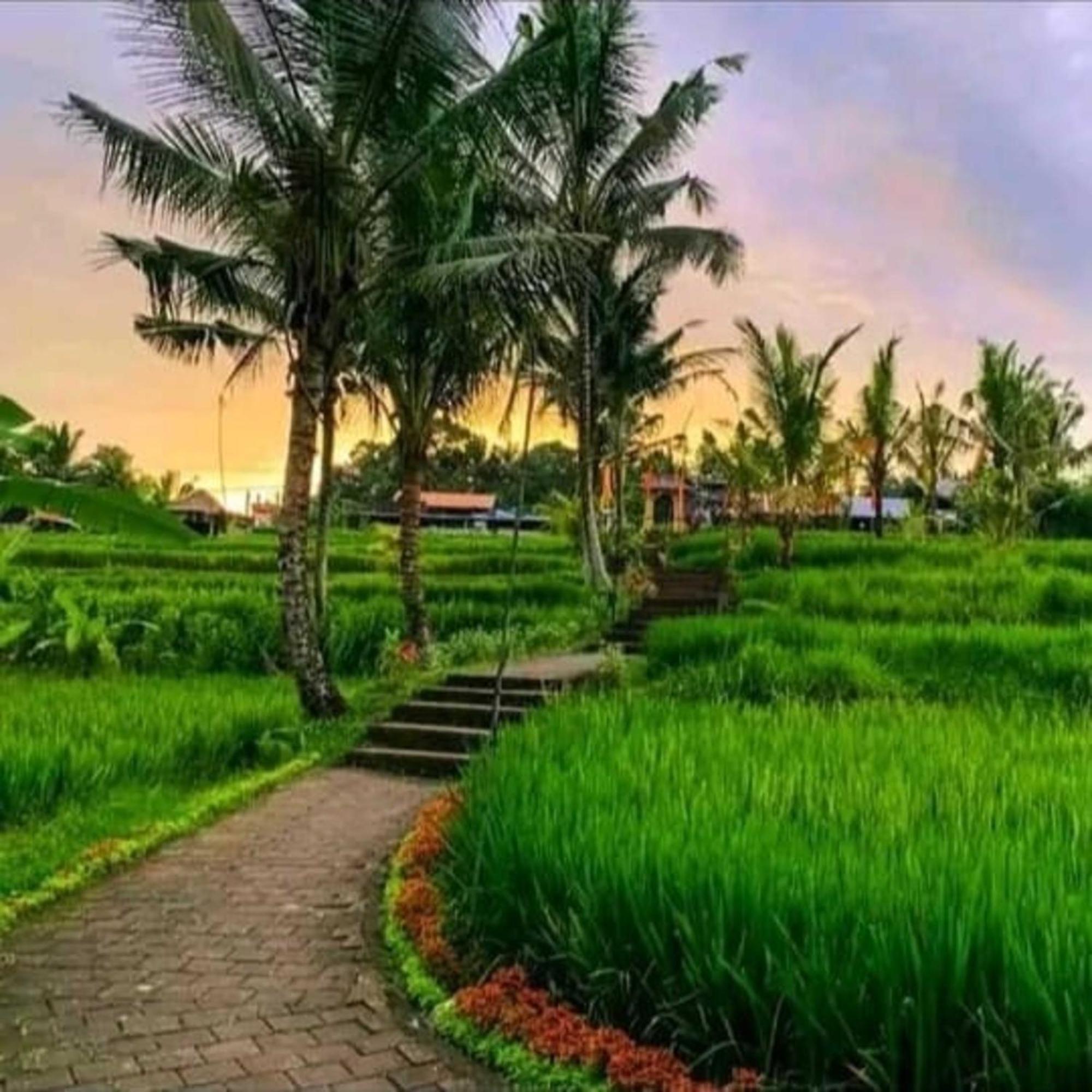 Pondok Kungkang Villa 2 Ubud  Ngoại thất bức ảnh